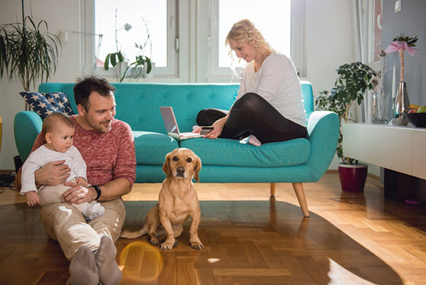 Upgrade Your Heat Pump for Winter Comfort Upgrade Your Heat Pump for Winter Comfort